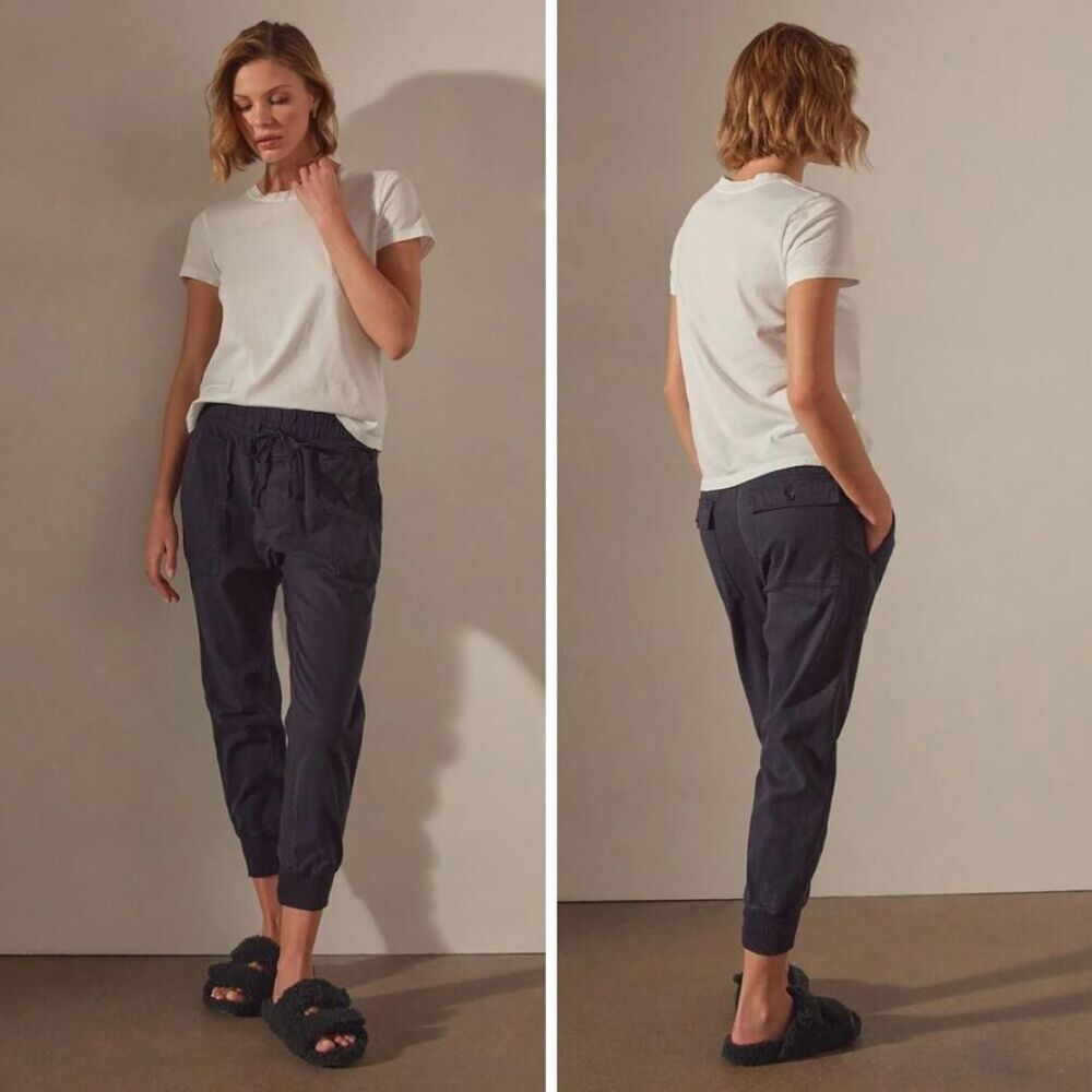James Perse Mixed Media Jogger Pants French Navy 1 Small Quiet Luxury Minimalist